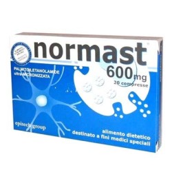 Epitech Group Normast 600...