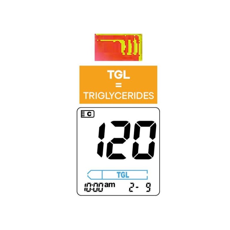 Biochemical System Intern. Test Trigliceridi Multicare In Strisce Con Aspriazione Capillare 25 Pezzi