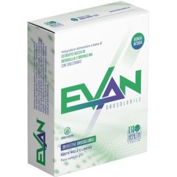 Mayoly Italia Evan...