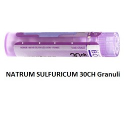 Boiron Natrum Sulf Boi 30ch 80gr 4g