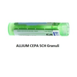 Boiron Allium Cepa Boi 5ch 80gr 4g