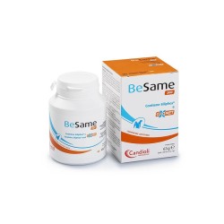 Candioli Ist. Profil. E...