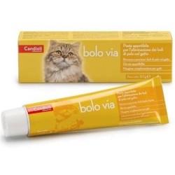 Candioli Ist. Profil. E...