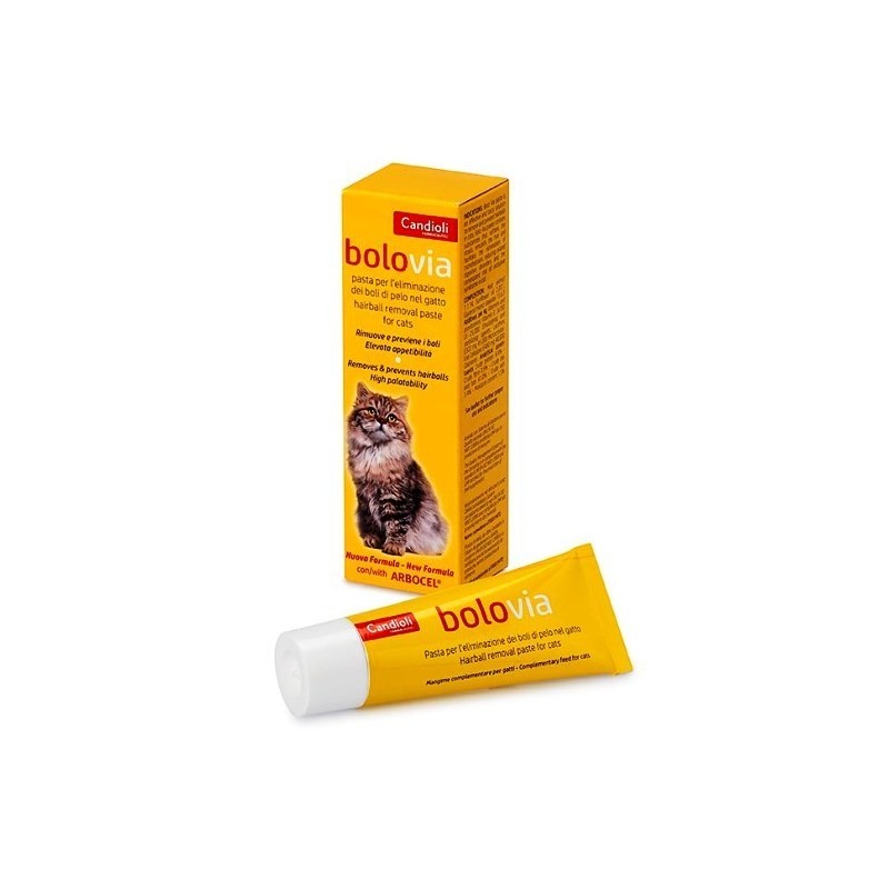 Candioli Ist. Profil. E Farm. Bolo Via Pasta Gatti Tubo 25 G