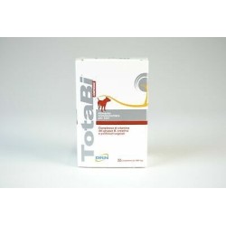 Nextmune Italy Totabi 32...