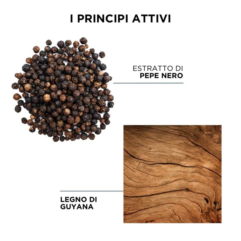 Phytosquam Hydratant Shampoo 250 Ml