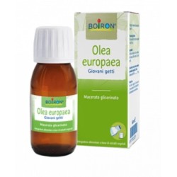 Boiron Olea Europaea...
