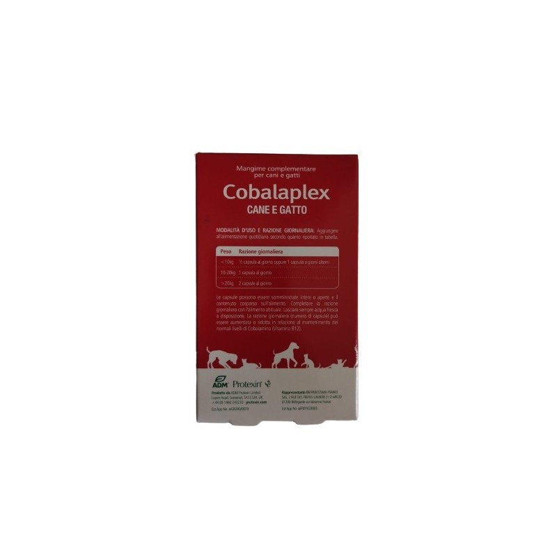 Bioforlife Italia Cobalaplex Therapet 60 Capsule