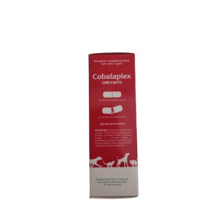 Bioforlife Italia Cobalaplex Therapet 60 Capsule