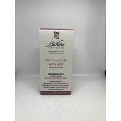 I. C. I. M. Internation...