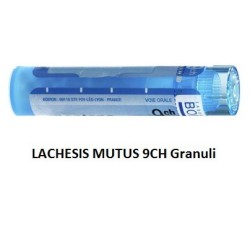 Boiron Lachesis Mutus 9 Ch...