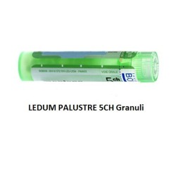 Boiron Ledum Palustre 5 Ch Granuli