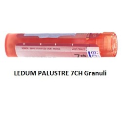 Boiron Ledum Palustre 7 Ch Granuli