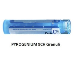 Boiron Pyrogenium 9 Ch Granuli