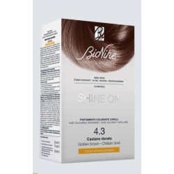 I. C. I. M. Internation...