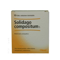 Guna Heel Solidago...