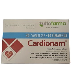 SCHOLL CR RIGENER PELLE SECCA