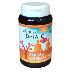 SCHOLL TALLONIERA COMFORT