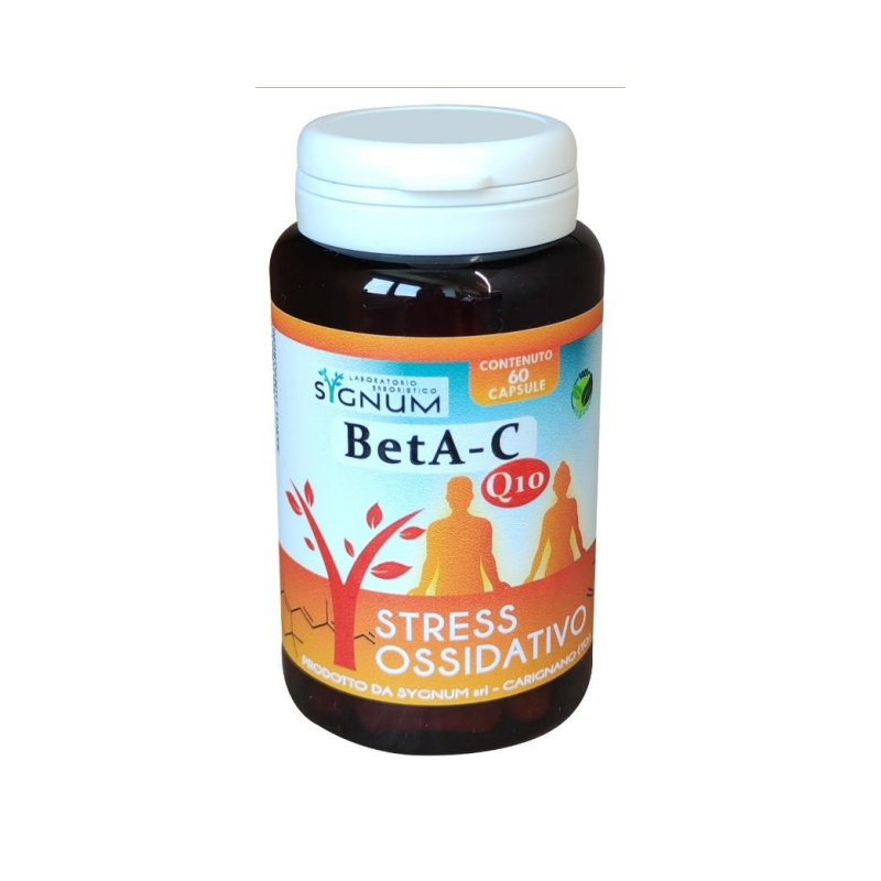 SCHOLL TALLONIERA COMFORT