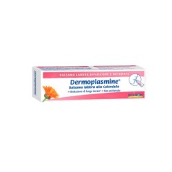 Boiron Dermoplasmine Balsamo Labbra Riparatore E Nutriente 10 G