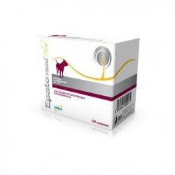 Nextmune Italy Epato 1500...