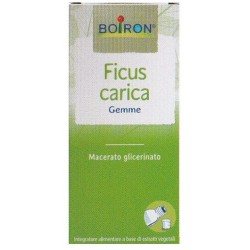 Boiron Ficus Carica Gemme...
