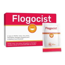 Anvest Health Flogocist 10...