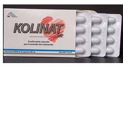 Leader Natural Pharma...