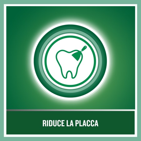 Johnson & Johnson Listerine Denti & Gengive Delicato 95 Ml