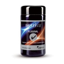 Giuriati Group Nutriva...