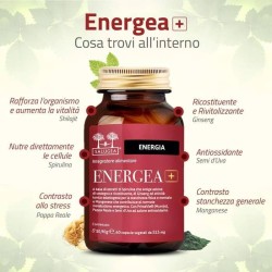 Salugea Energea+ 60 Capsule