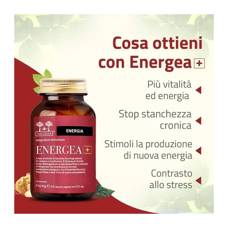 Salugea Energea+ 60 Capsule