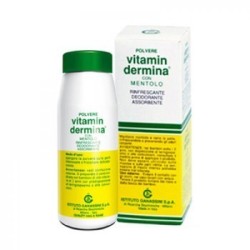 Ist. Ganassini Vitamindermina Polvere Ment 100 G