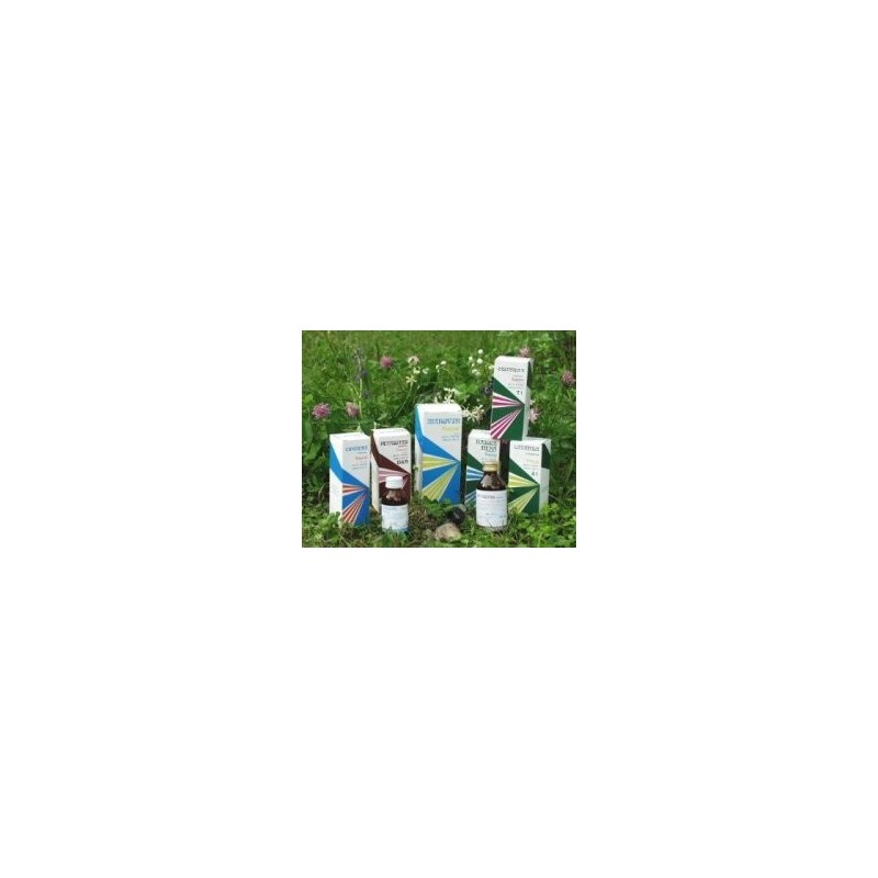 Chemi Raemil Radice Nero Analcolico 100 Ml