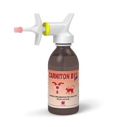 Acme Carniton B 12 Gel 125 Ml