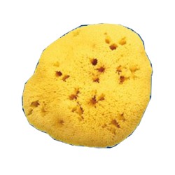 Farmacare Spugna Naturale...