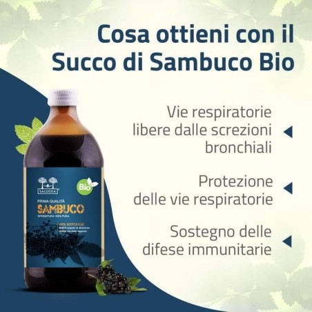 Salugea Succo Sambuco Bio 500 Ml