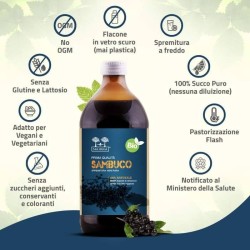 Salugea Succo Sambuco Bio 500 Ml