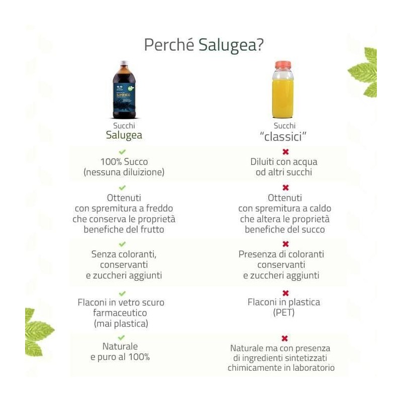 Salugea Succo Sambuco Bio 500 Ml