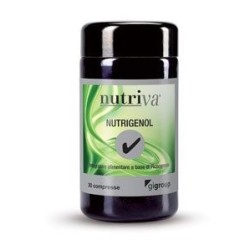 Giuriati Group Nutriva...