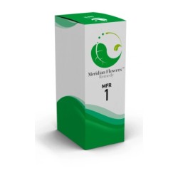 Sitar Italia Mfr 1 Meridian...