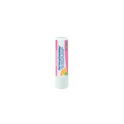 Boiron Dermoplasmine Stick Labbra Calendula Idratante E Lenitivo 4 G