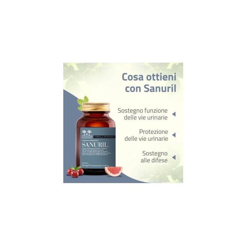 Salugea Sanuril Formula Potenziata 60 Capsule