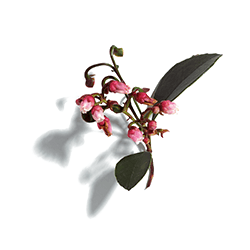 Caudalie Italia Vinopure Gel Detergente 150 Ml