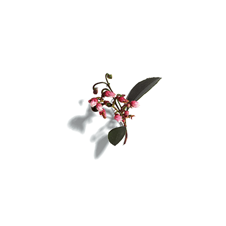 Caudalie Italia Vinopure Gel Detergente 150 Ml