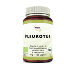 Hifas Da Terra Italia...