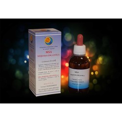 Herboplanet Msa Sequoia...