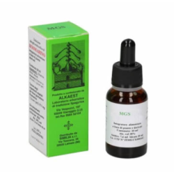 Alkaest Mgs19 Salice...