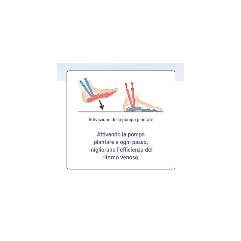Qualifarma Epitact Plantare Terapeutico Gambe Leggere 42/44 1 Paio