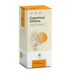 Coprinus Gheos 90 Capsule
